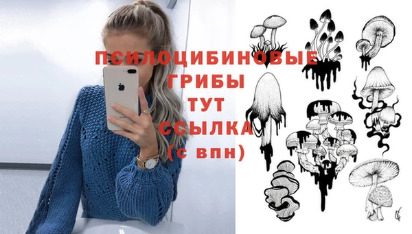 спайс Дмитровск