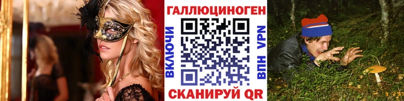 Галлюциногенные грибы Psilocybe Усолье-Сибирское